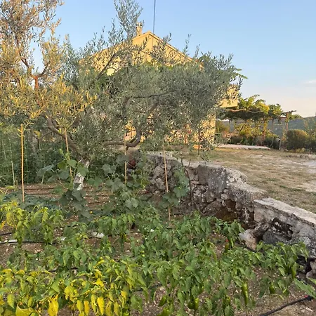 Villa Brig *
